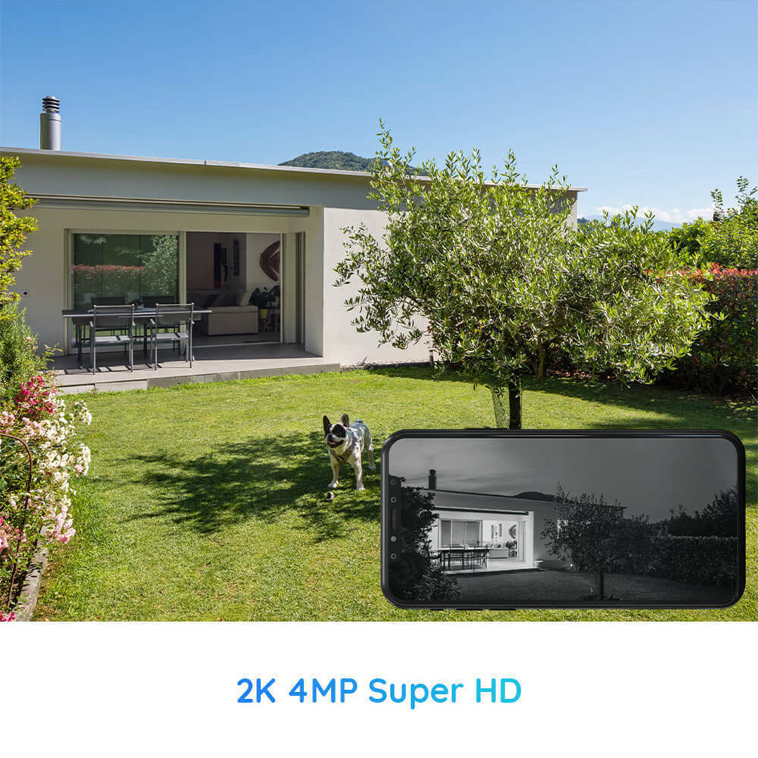 Reolink Go Indoor Security Camara